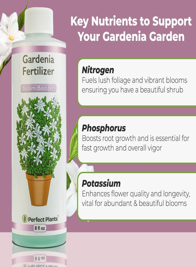 PERFECT PLANTS سماد سائل مثالي للغاردينيا من بيرفكت بلانتس | 8 أونصات. غذاء نباتي مُصمم خصيصًا لتعزيز الإزهار | رائع للنباتات المزهرة الداخلية والخارجية - Image 2